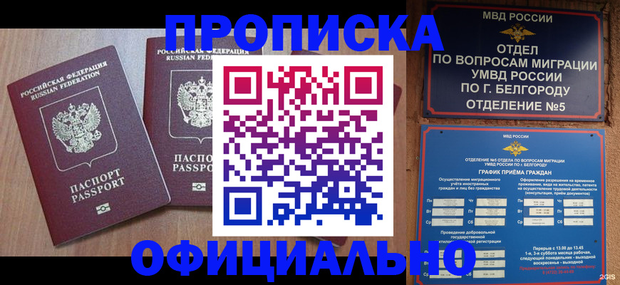 найти адрес прописки в Кольчугино