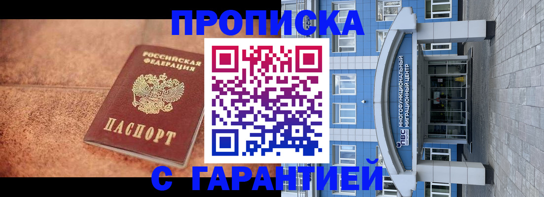 где прописаться в Кольчугино